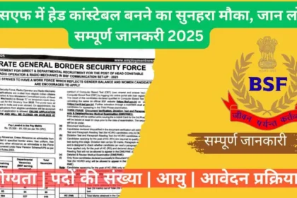 BSF HC RO RM Recruitment 2025