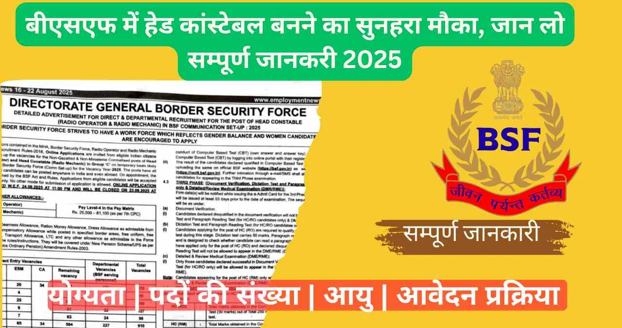 BSF HC RO RM Recruitment 2025